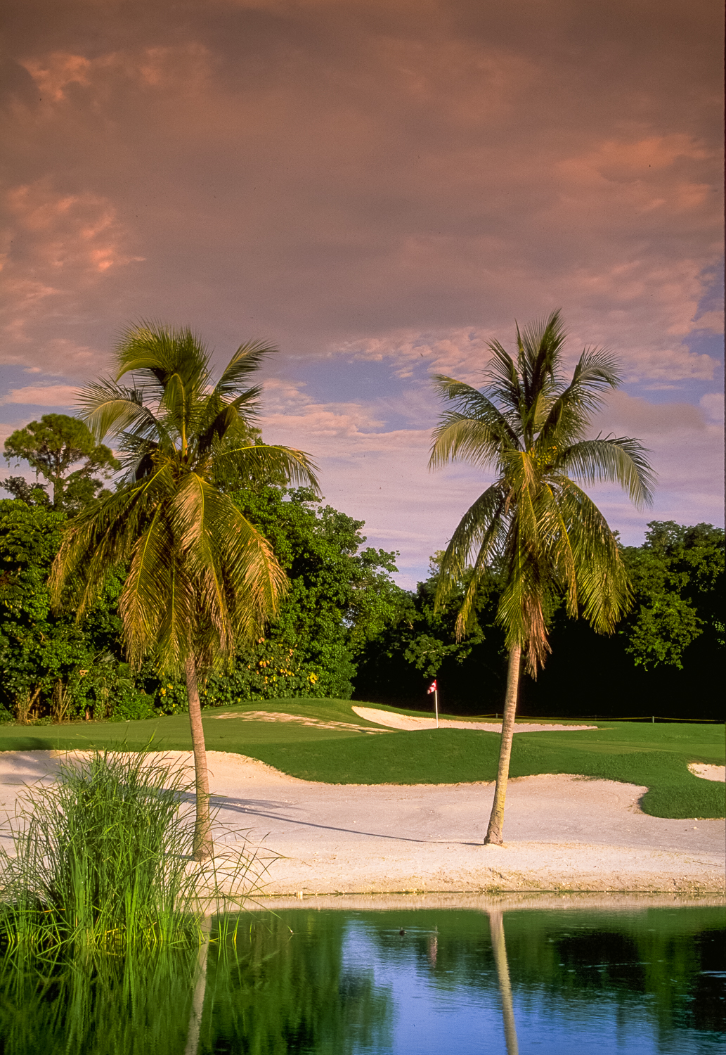 Total Golf Construction - Ruby Course, Grand Bahamas Island